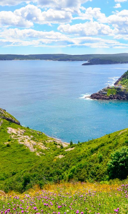 A visit to Cape Spear Newfoundland Marine Atlantic